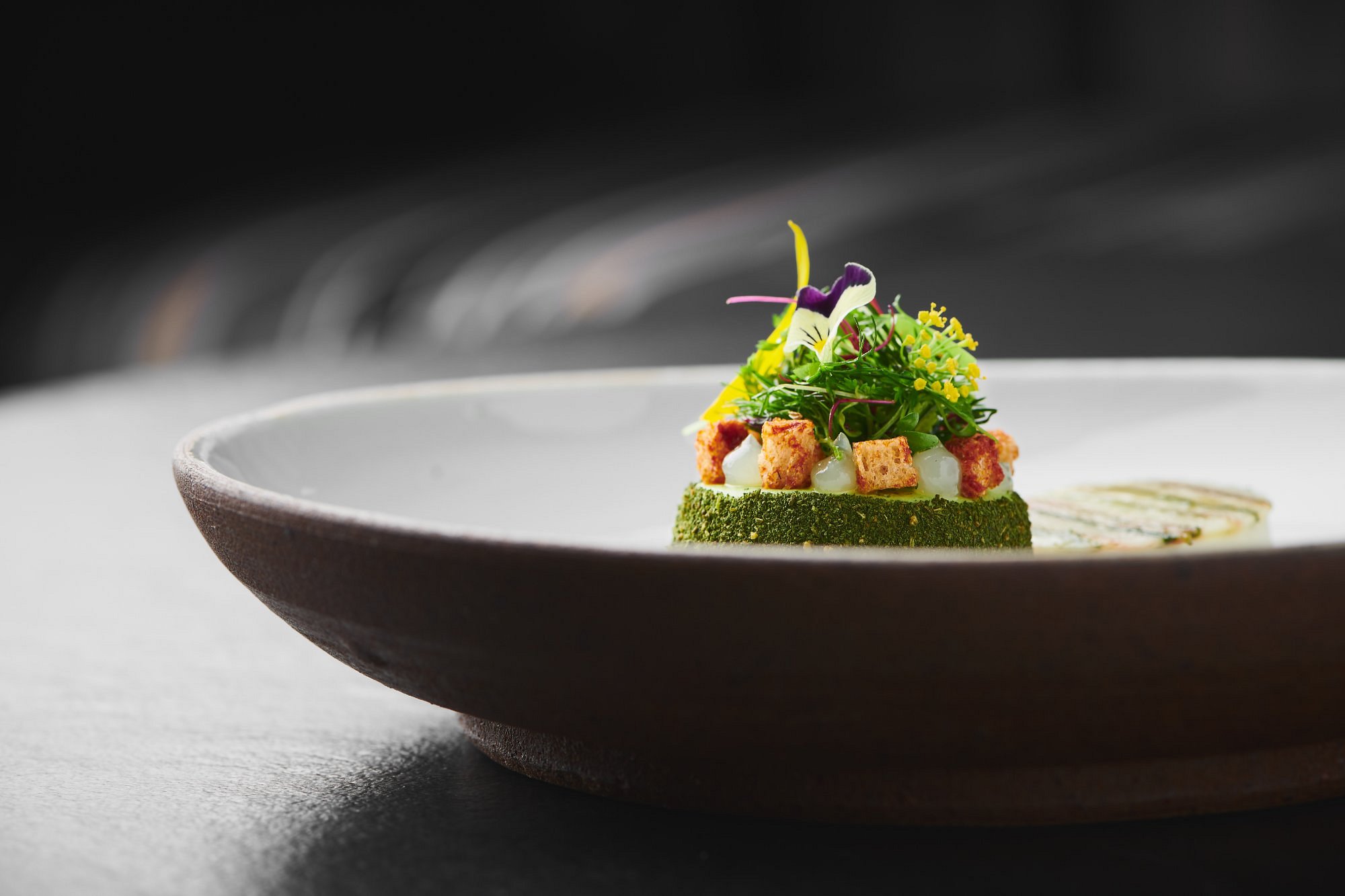 Sühring dish